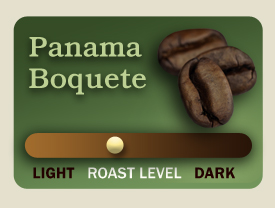 Panamanian Boquete